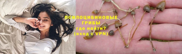 бошки Костерёво
