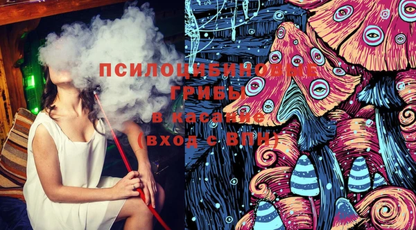 прущие крисы Краснотурьинск