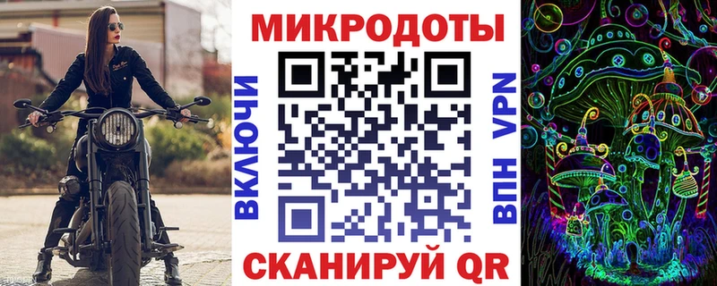 Галлюциногенные грибы Psilocybe  Кяхта 